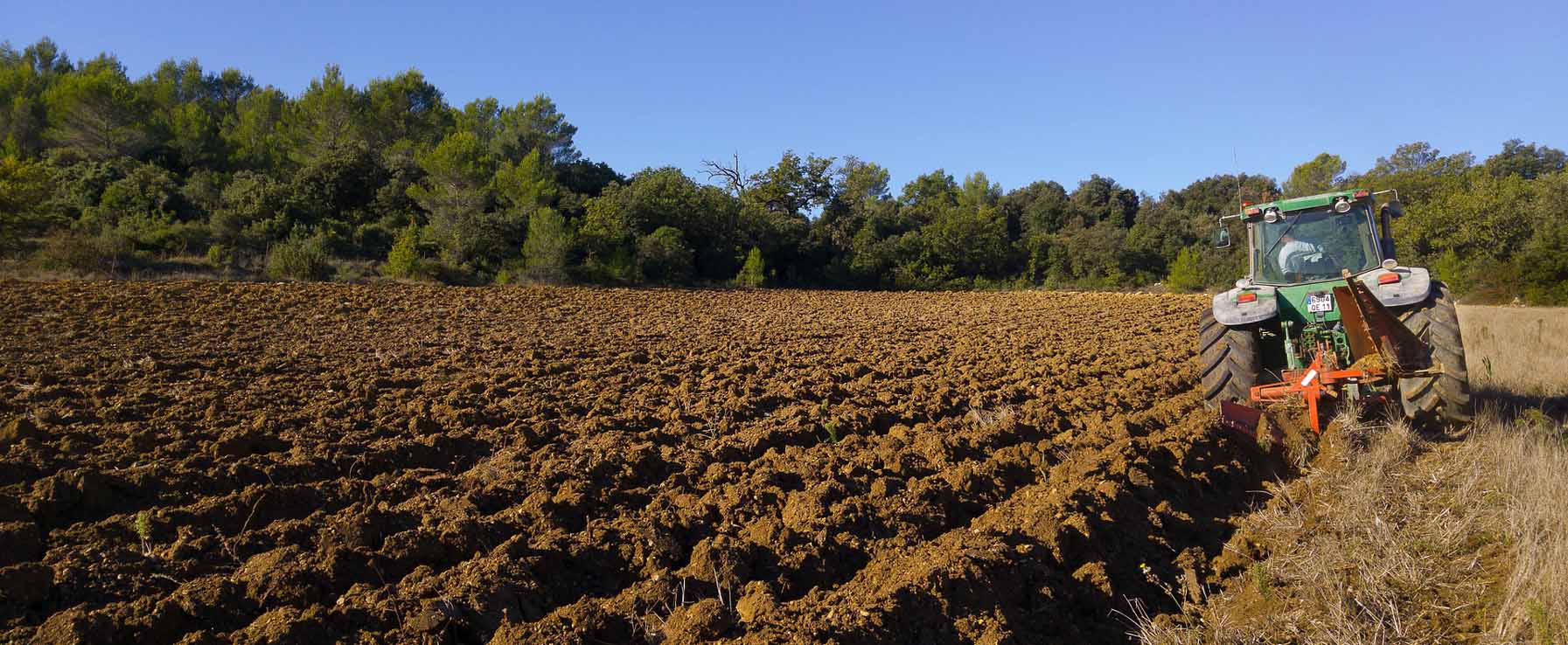 agricultural engineering colleges